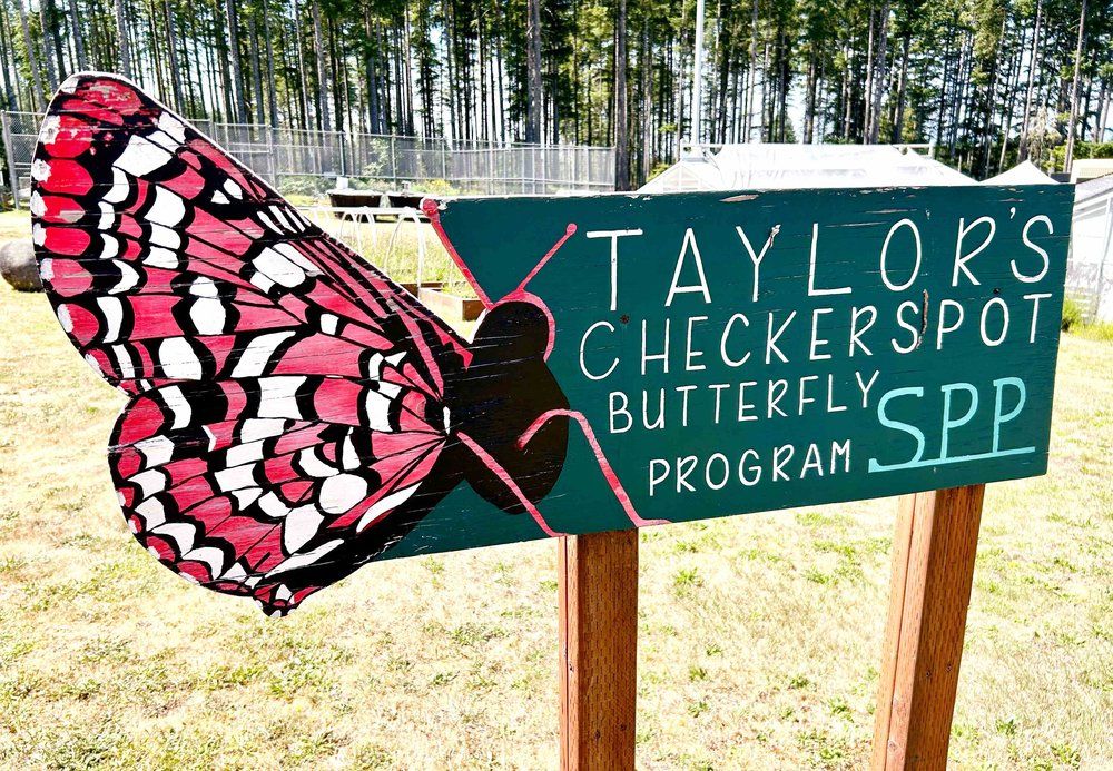Mission Creek Butterfly Program
