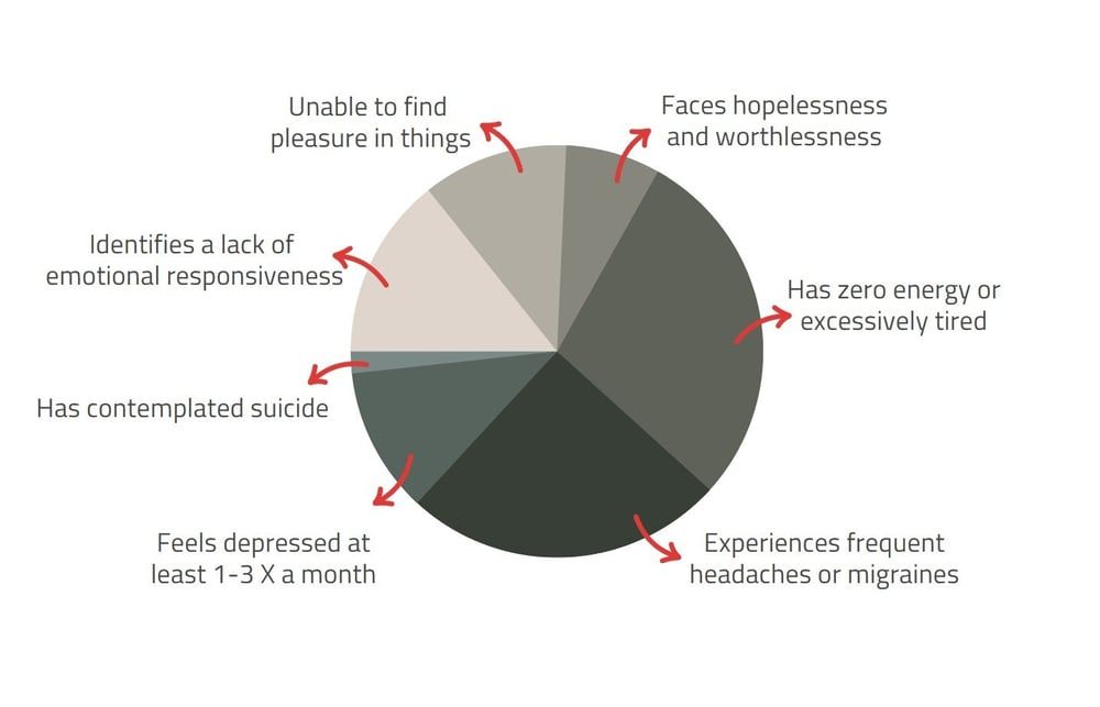 pie chart of dark side of corrections