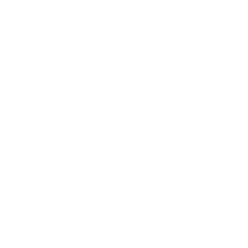Icon: shield